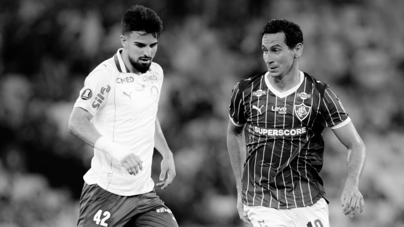 Fluminense x Palmeiras: a verdade sobre a vitória sem Abel
