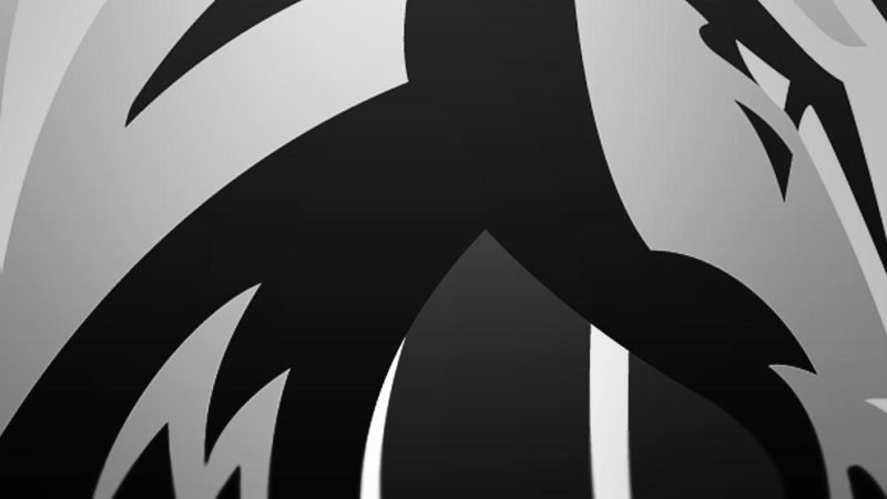 Design Conceitual: Dallas Mavericks