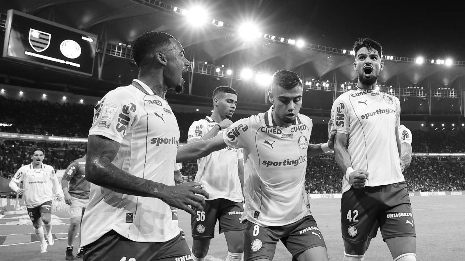 Palmeiras x Flamengo: entenda a briga pelo título