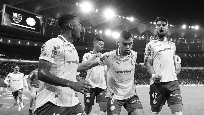 Palmeiras x Flamengo: entenda a briga pelo título