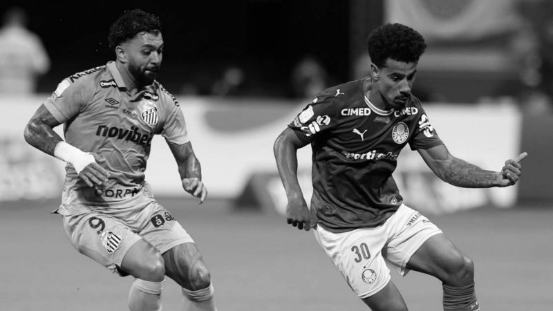 Santos x Palmeiras hoje: horário, onde assistir e escalações